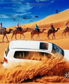 Desert